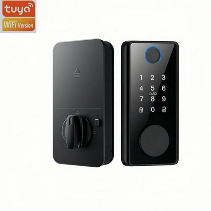 Graffiti Smart Door Lock Wooden Door Fingerprint Lock Auxiliary Closing